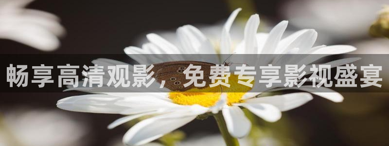 秋霞电影快播