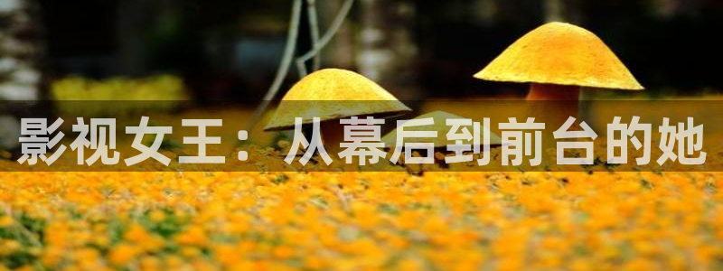 秋霞影院电视剧在线观看全集免费播放