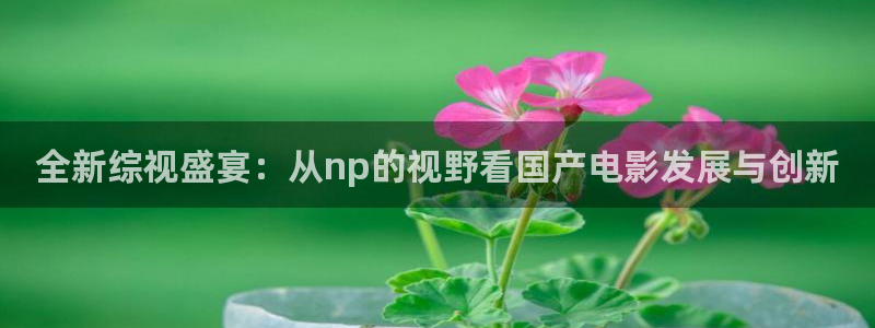 秋霞第八电影院