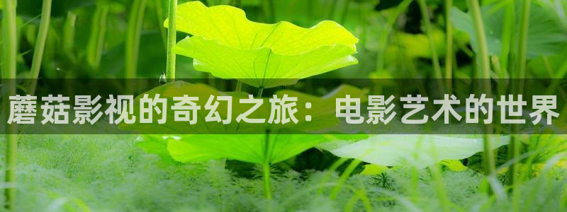 秋霞韩国电影院