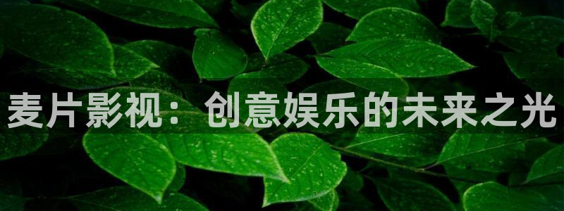 秋霞网影院